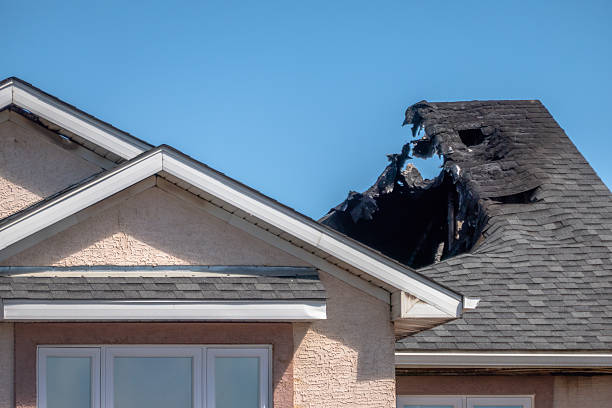 Top rated local Fire Damage Removal specialists in Clifton Heights, PA